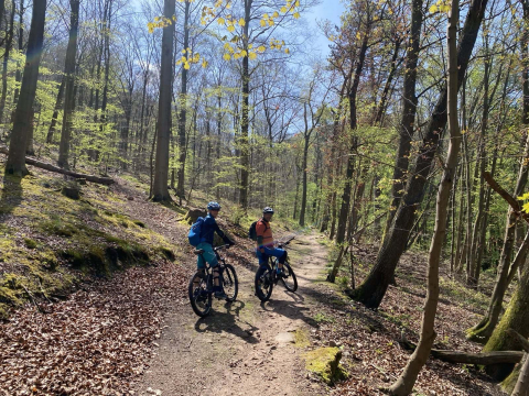 E-Adventures_Deutsche Vogesen_E-MTB.jpg