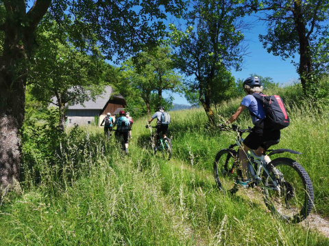 E-Adventures_E-Bike Tour_Salzkammergut.jpg