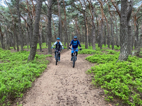 E-Adventures_Deutsche Vogesen_E-MTB Tour.jpg