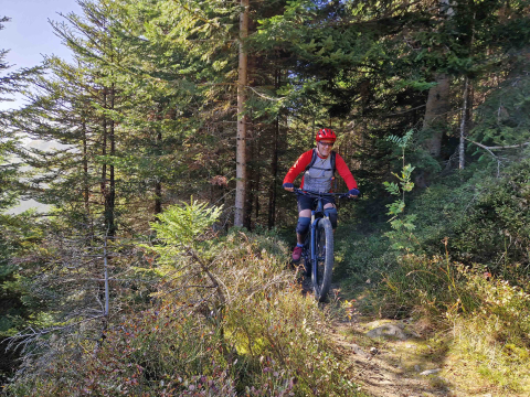 E-MTB Tour_E-Adventures_Ramsau.jpg