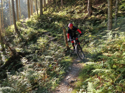 E-MTB Tour_E-Adventures_Sonnenplateau Ramsau.jpg