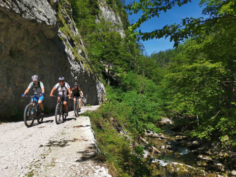 E-Adventures_Radtour_Salzkammergut.jpg