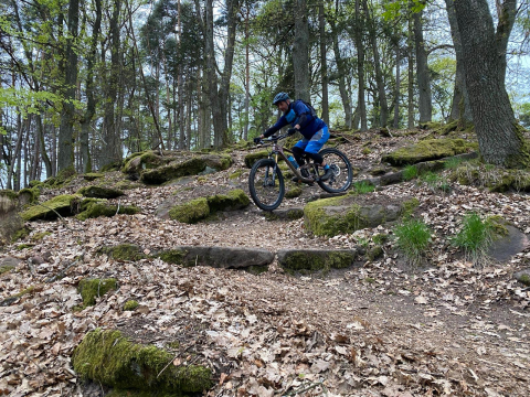 E-Adventures_Deutsche Vogesen_E-BIke_Stufen.jpg