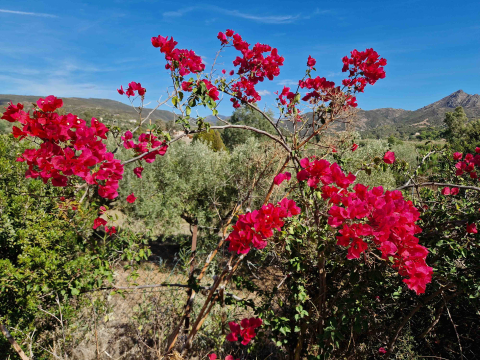 E-Adventures_Sardinien