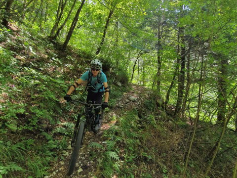 E-Adventures_Bike_Gemona_Trailtour Friaul.jpg