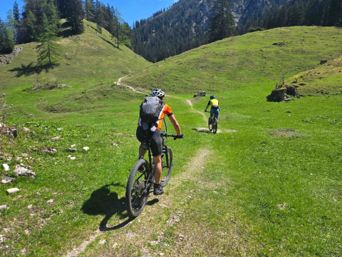 E-MTB E-Adventures_Trail Hochgern.jpg